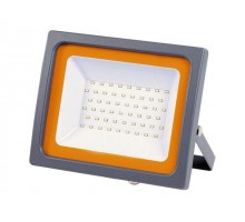 Прожектор светодиодный 100 Вт 6500К IP65,  PFL-SC  JAZZWAY (8500Лм, холодный белый свет, 200-240 В)