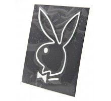 Наклейка 3DS08240 (Playboy) 16x20cm