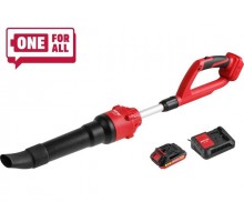 Аккум. воздуходувка WORTEX BB 2018-1 D ALL1 XLT SET с акб и з/у (18В, БЕСЩЁТ., 162-450 м.куб/ч, 72-190 км/ч)