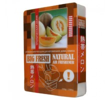Ароматизатор гелевый Big Fresh 200гр DL-B023 Тропическая дыня